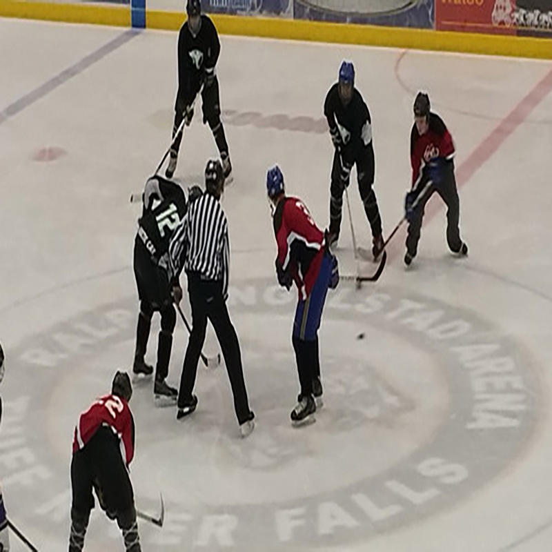 Painéis de gelo sintético Extreme Glide